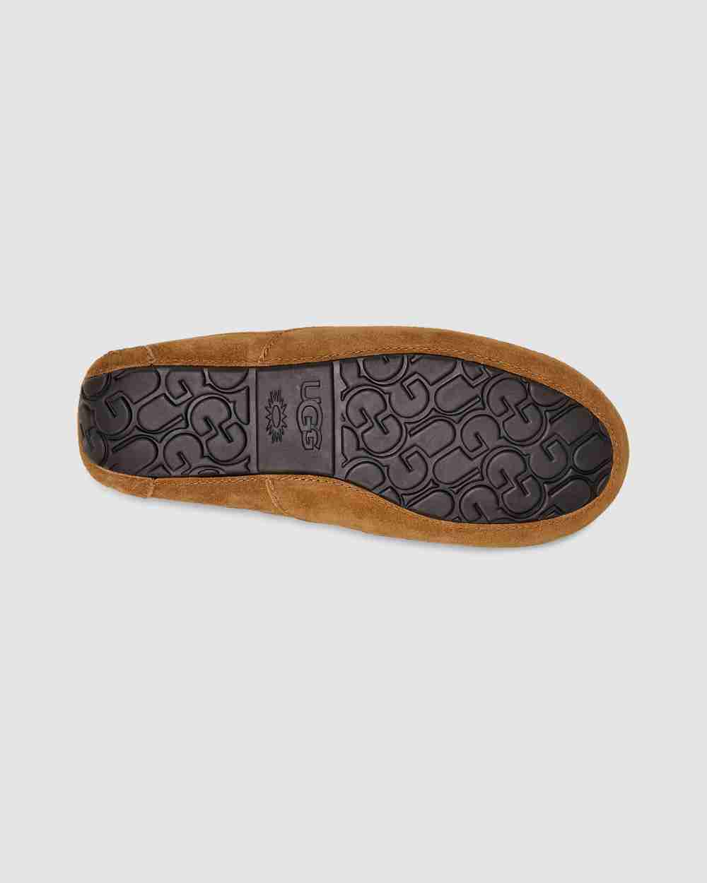 Ascot Slipper