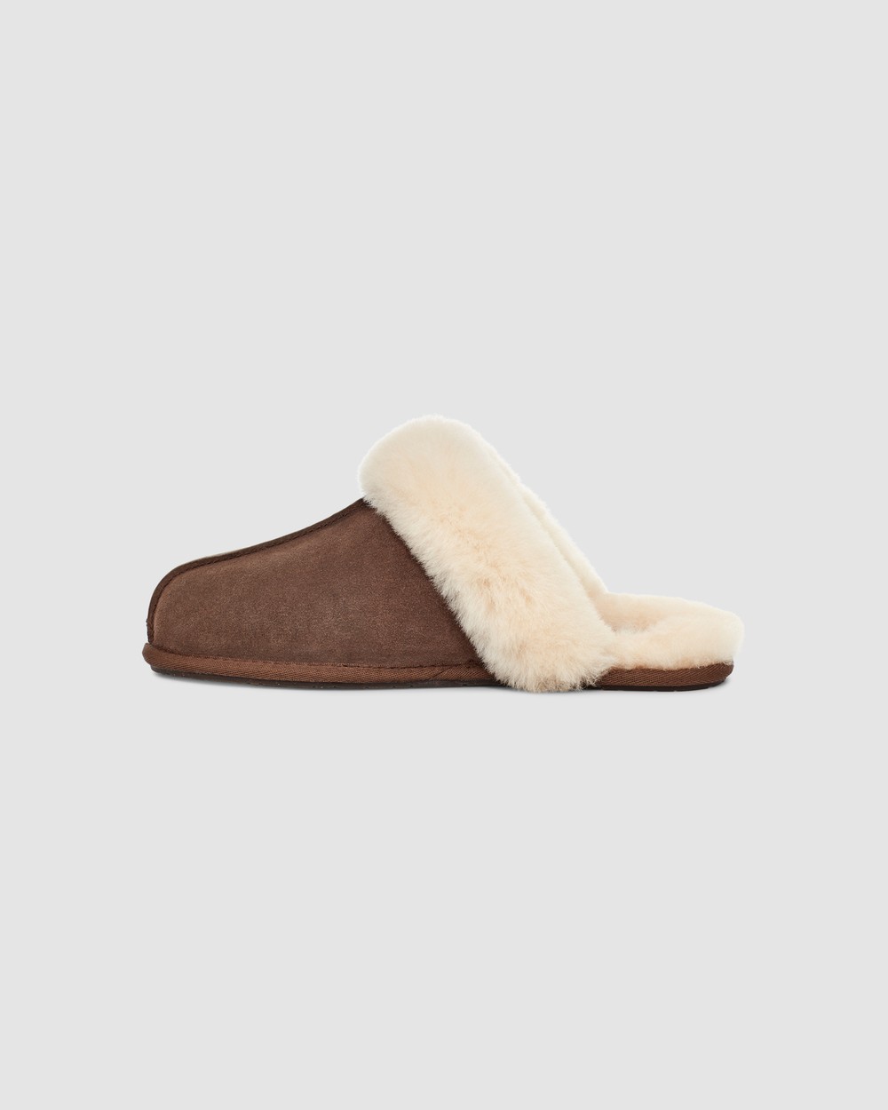 Espresso shop ugg slippers