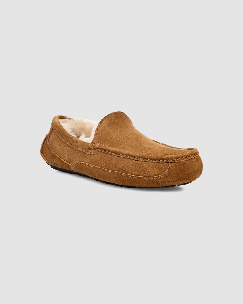 Mens ugg clearance moccasins sale