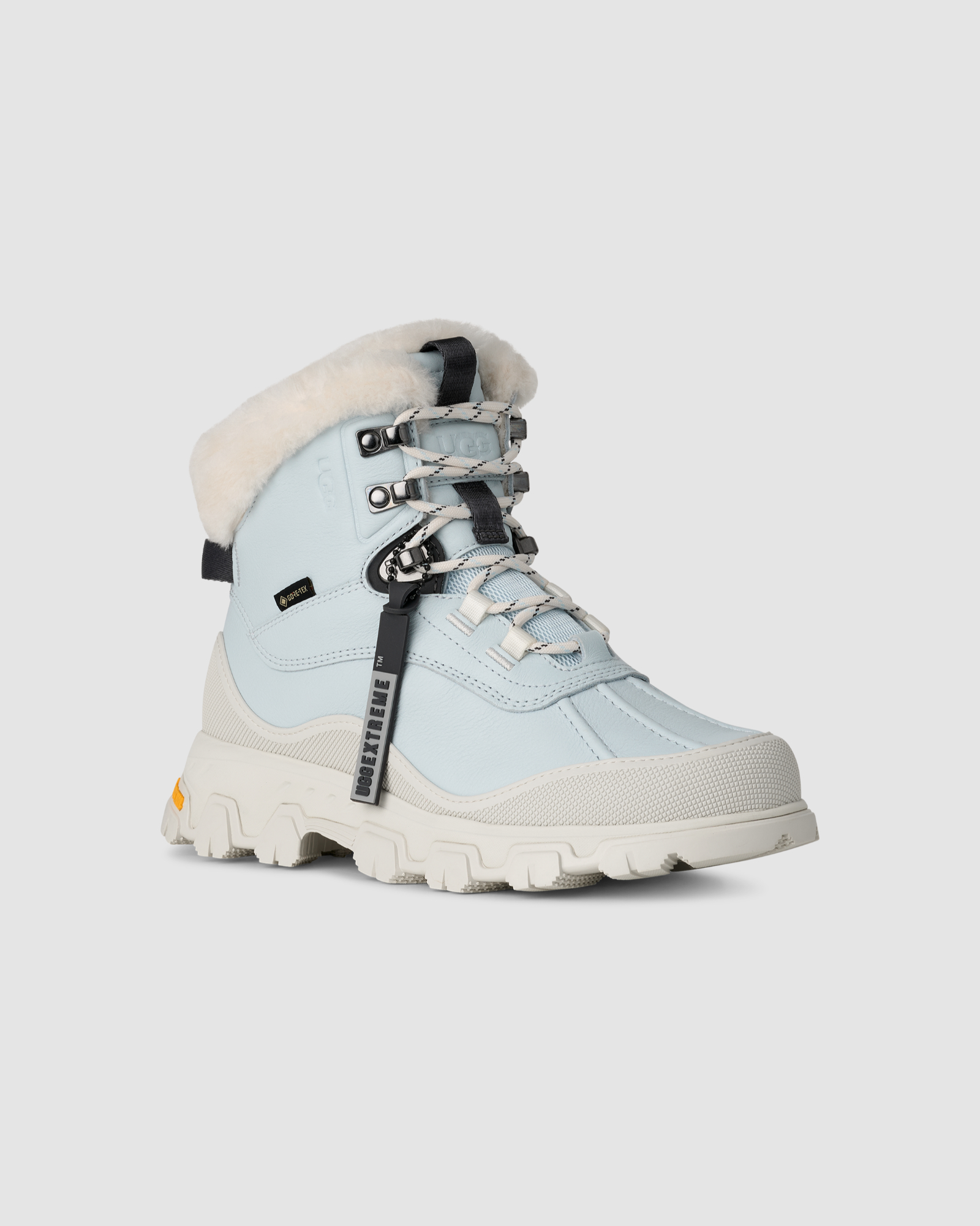Adirondack Meridian Hiker