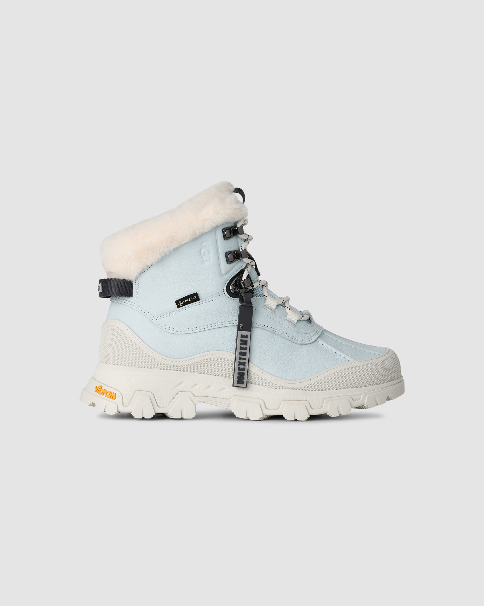 Adirondack Meridian Hiker