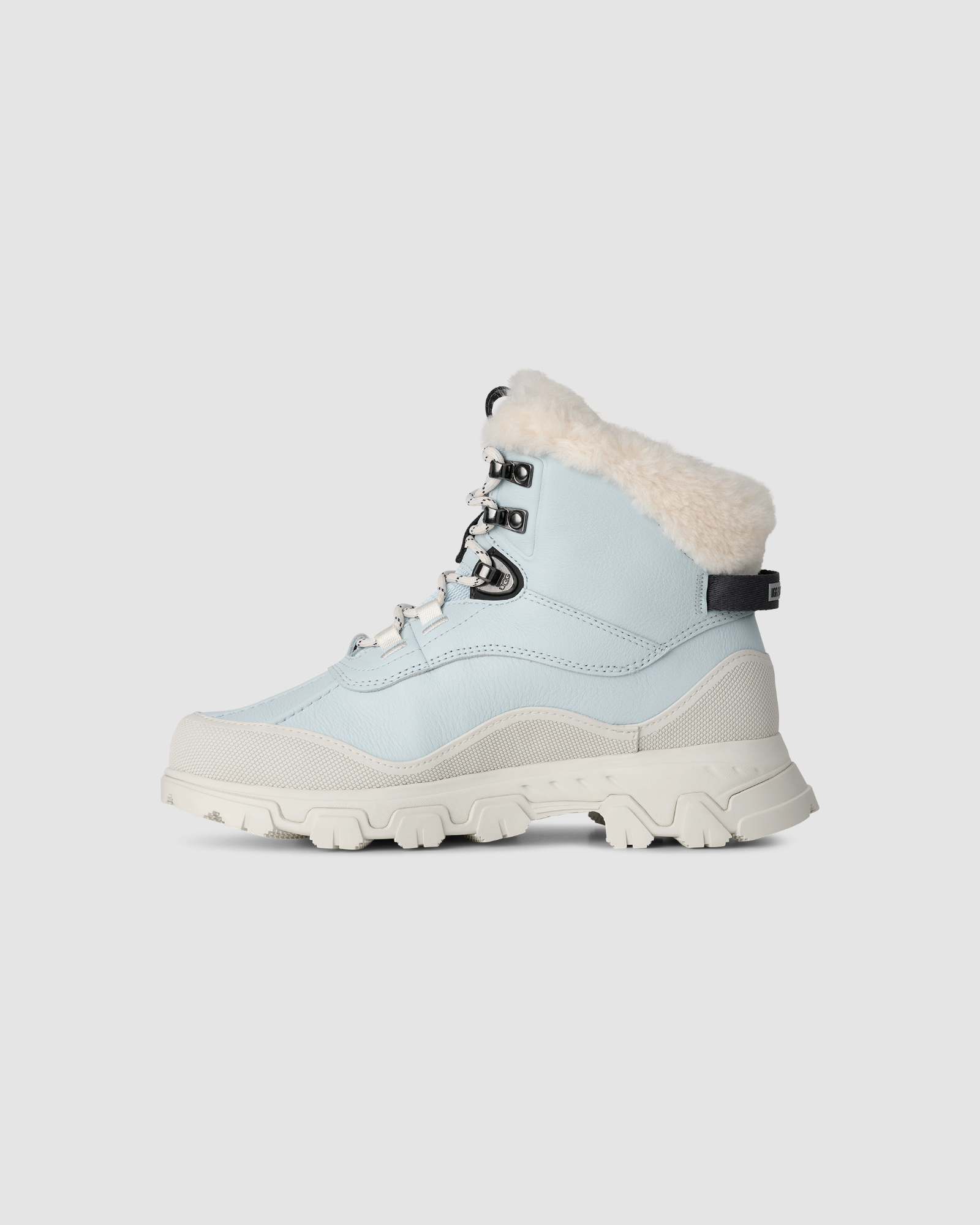 Adirondack Meridian Hiker