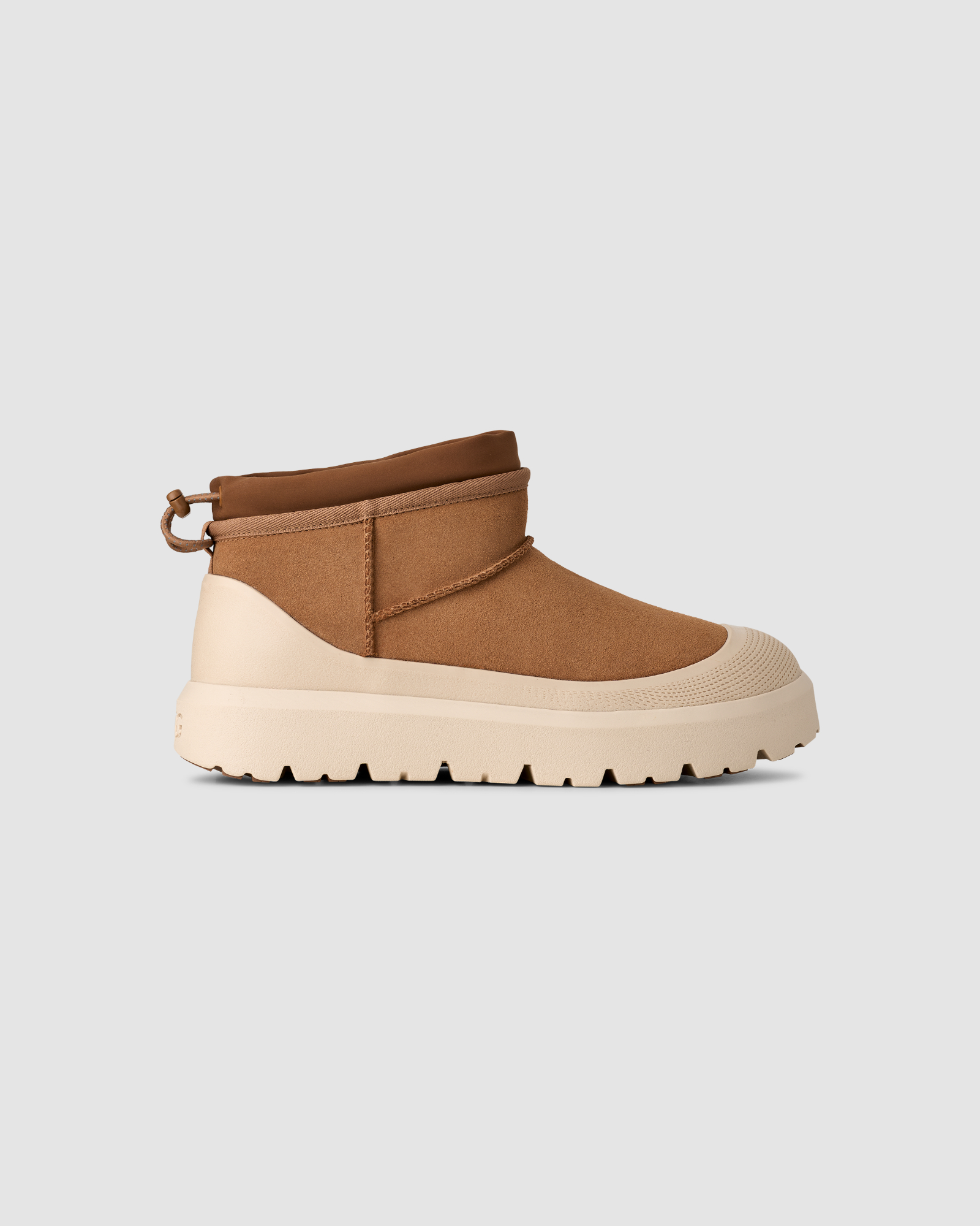 Chestnut / Whitecap