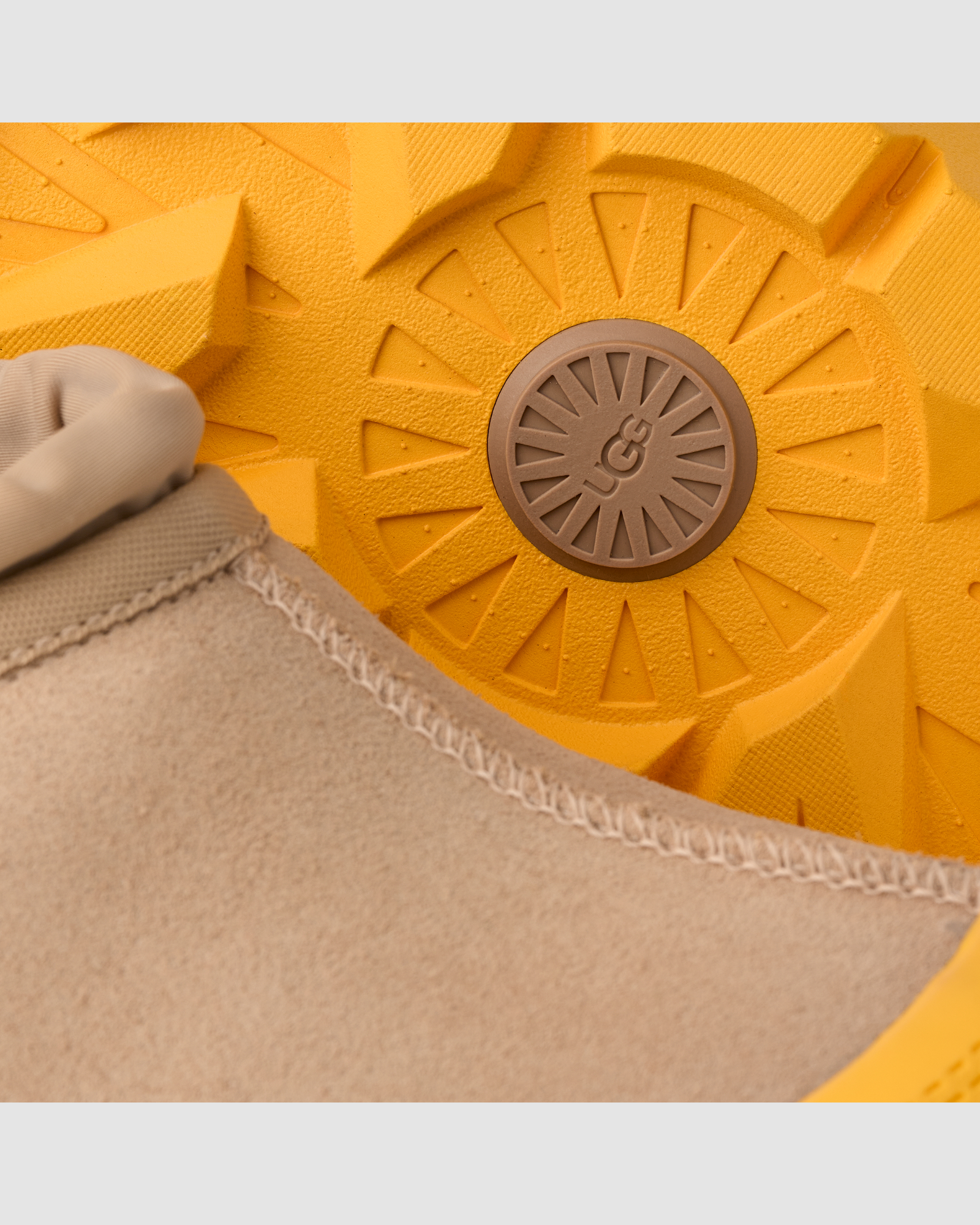 Tasman Weather Hybrid