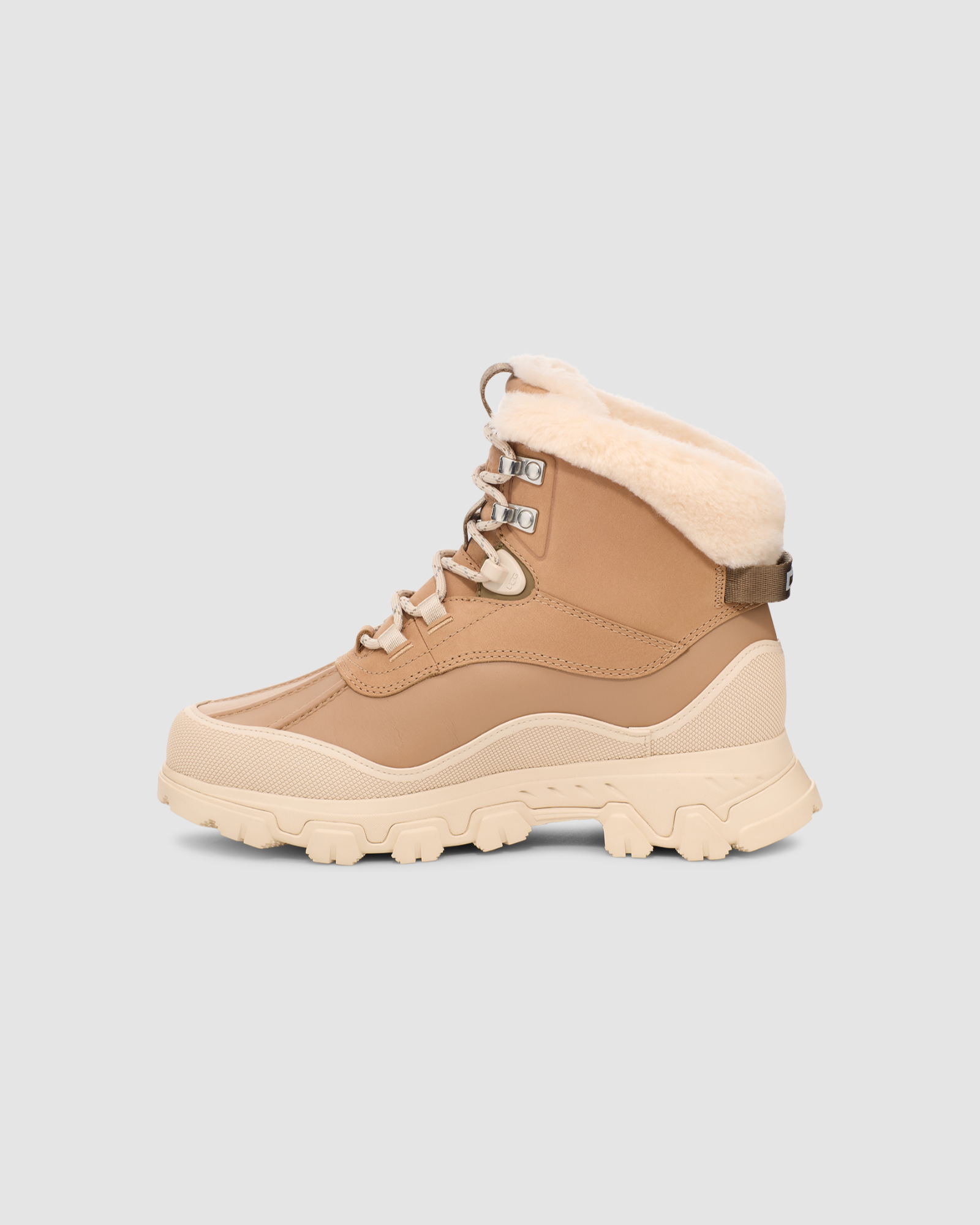 Adirondack Meridian Hiker