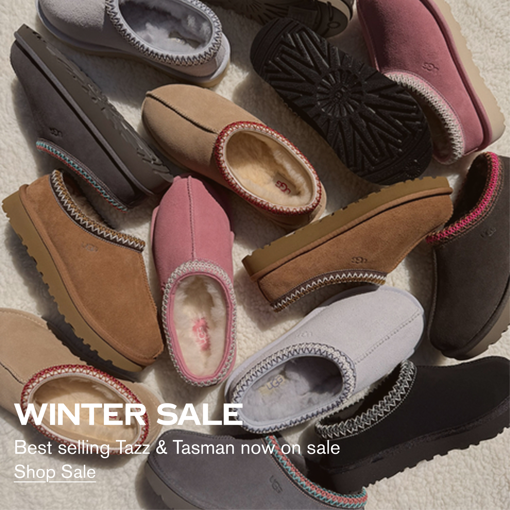 Tazz Restocked