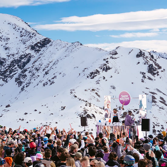 UGG NZ Snow Machine