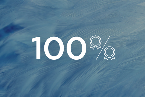 100% of the down we source is certified by the Responsible Down Standard.