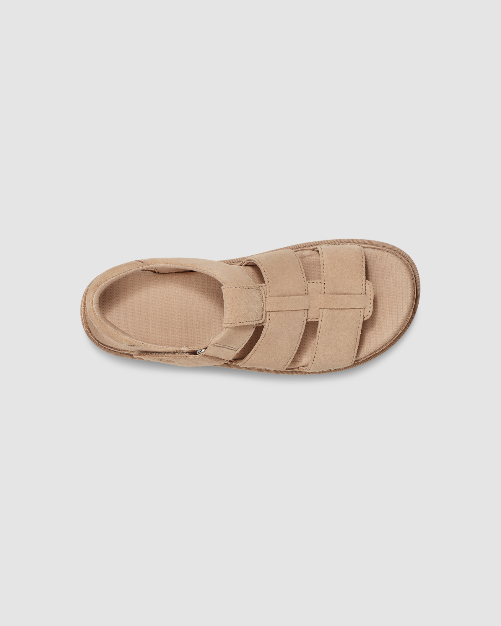 Goldenstar Strap Driftwood | UGG