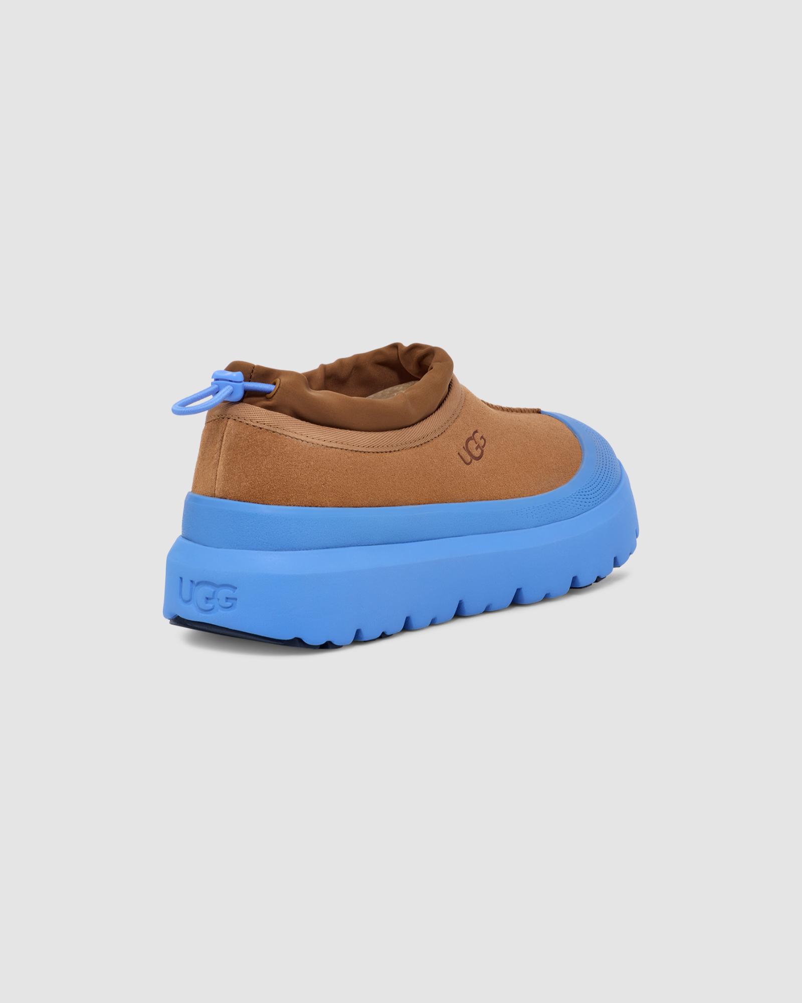 Men's Tasman Weather Hybrid in Chestnut / Big Sky | Men's Weather